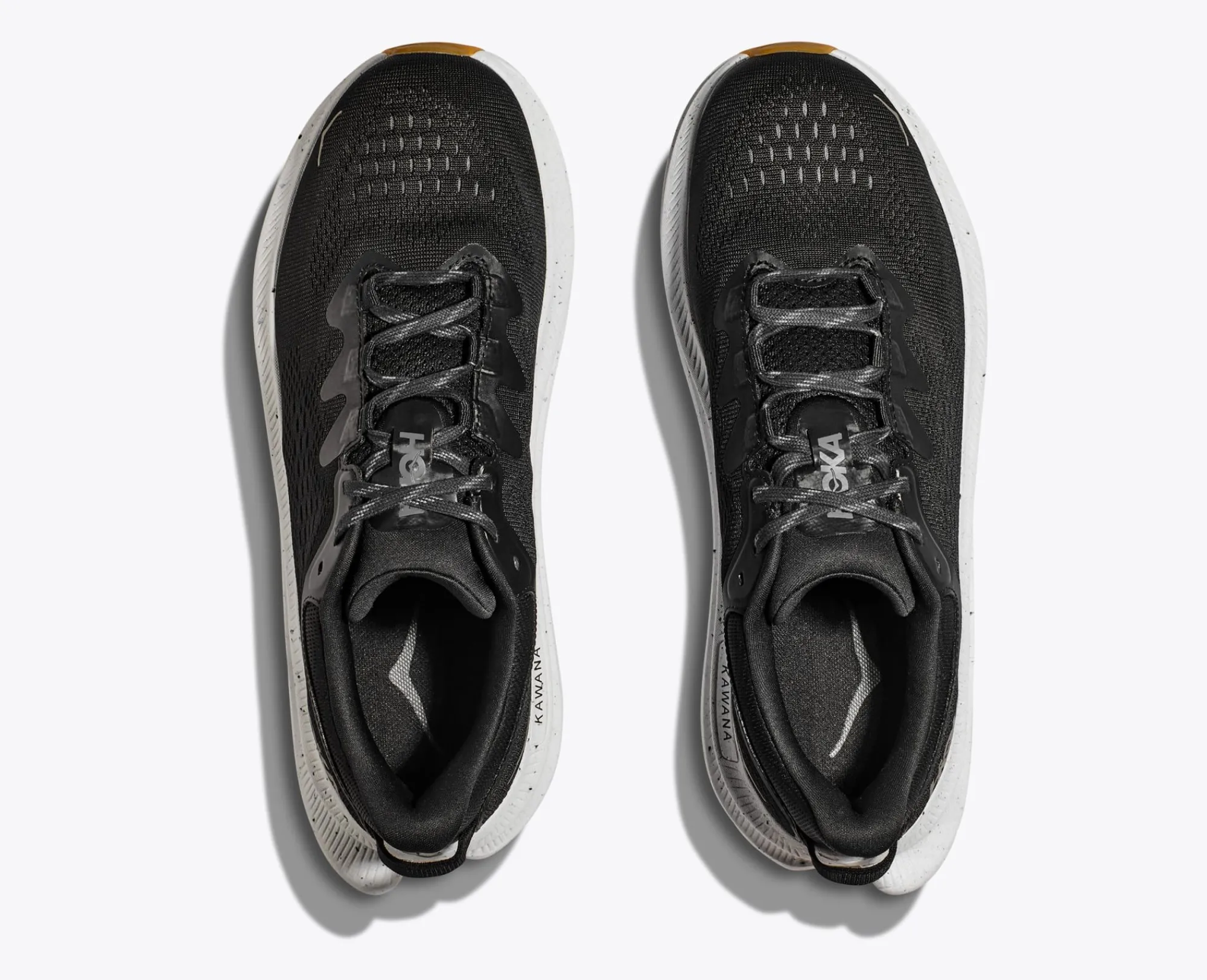 HOKA® Training & Gym^Kawana 2